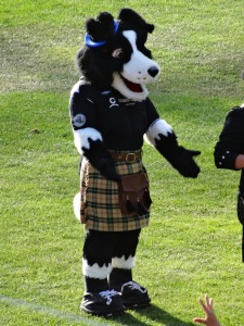 Striker, Highlanders mascot.